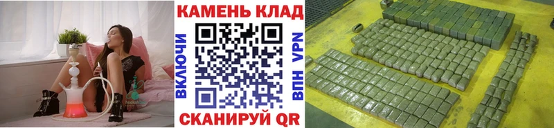 ГАШ Premium  Мытищи 