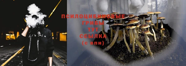 бутират Богородицк