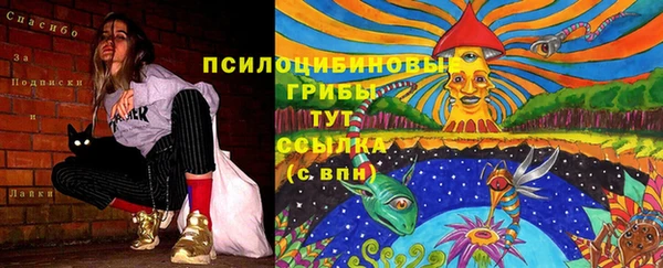 кокаин перу Богданович