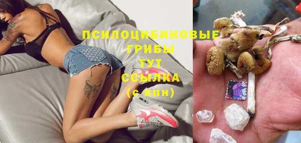 бутират Богородицк