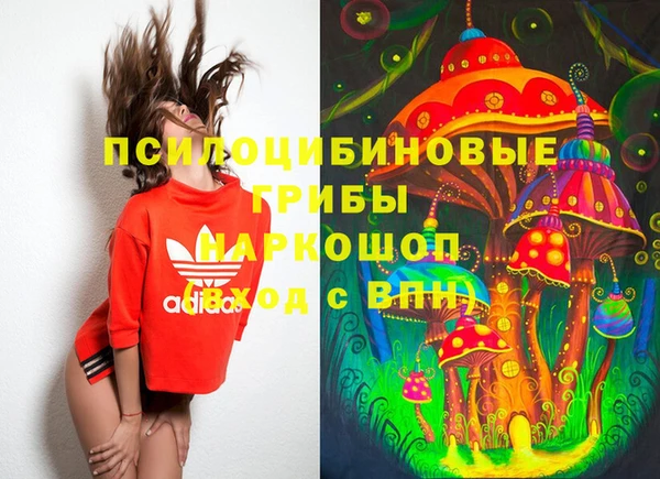 бутират Богородицк