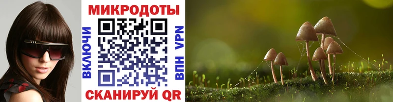 Псилоцибиновые грибы GOLDEN TEACHER  Мытищи 